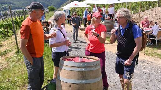 Winzerfeste, Tastings und Märkte: Diese Weinevents finden 2023 im Ahrtal statt