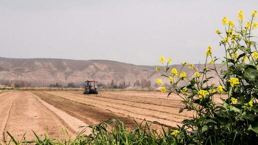 Ende Landwende: Mehr Subventionen für weniger Nachhaltigkeit in der Landwirtschaft