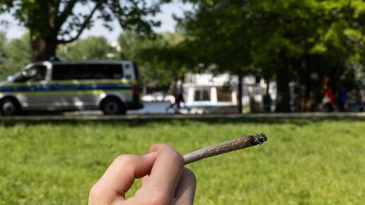 Schulbehörde: Legalisierung von Cannabis ändert grundsätzlich nichts