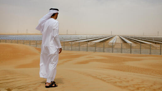 Das grüne Gold vom Golf: Emirate planen Klimawende im nachhaltigen Stil