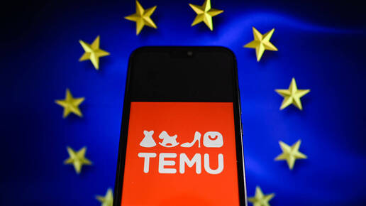 Wer bei Temu und Shein kauft, schneidet sich ins eigene Fleisch: Wie die Billigwaren-Flut den Steuerzahler Milliarden Euro kostet