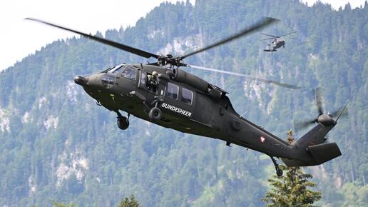 Für 1,05 Mrd. Dollar: USA billigen Verkauf von 12 "Black Hawk" an Österreich