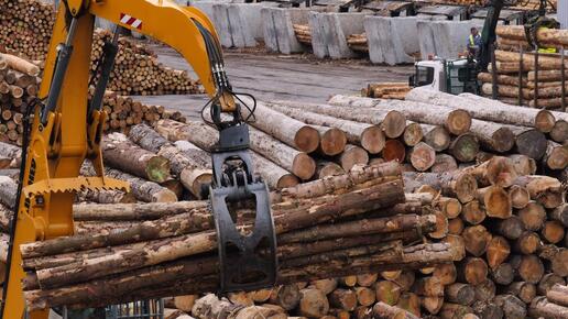 Holzindustrie fordert Kurswechsel bei Green Deal der EU