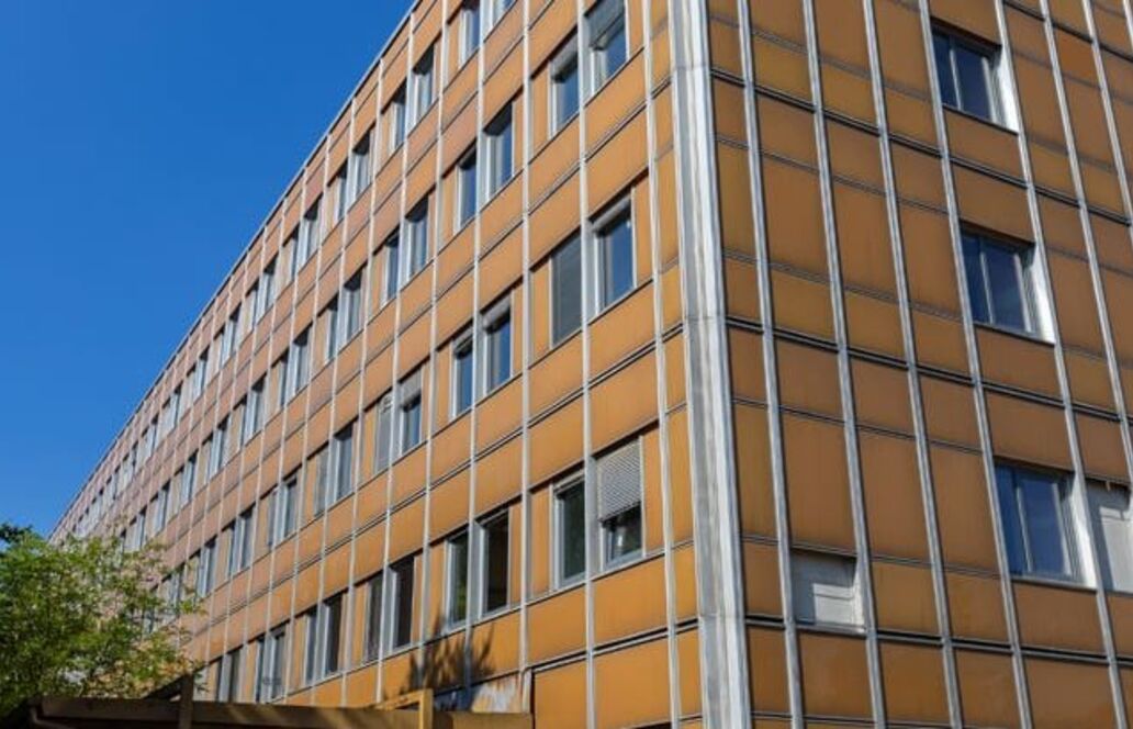 Zukunftsfähige Sanierung: Mit Lehm und Naturbo zu gesundem Raumklima