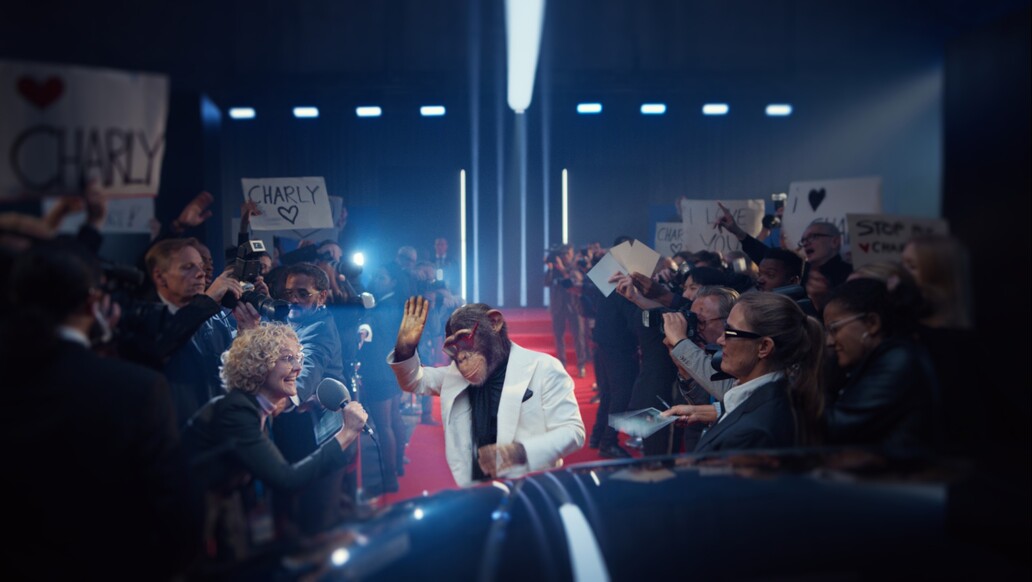 Trigema-Affe ist jetzt 