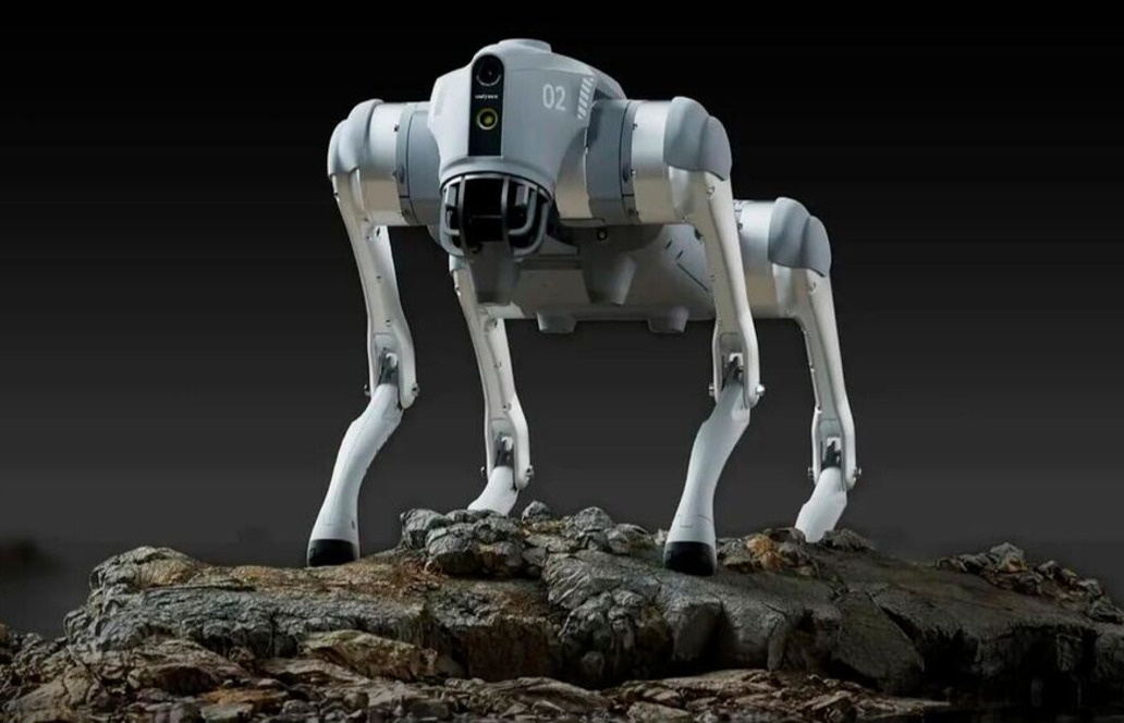 Nicht Humanoide, sondern Roboterhunde sind das wichtigste Testfeld für Embodied AI