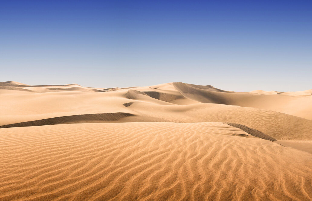 Botanischer Sandbeton: Wüstensand wird dank Pflanzenresten zum nachhaltigen Baustoff