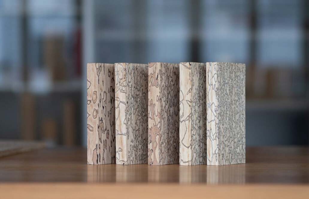 Nachhaltige Baustoffe: Mit einem Pilz veredeltes Holz sieht aus wie Marmor