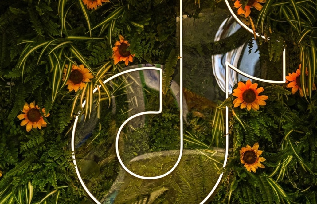 Studie: TikTok wird für viele Nutzer zur Alternative zur klassischen Websuche