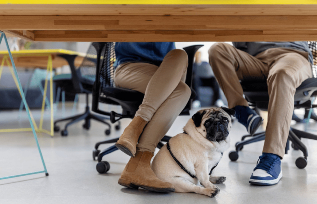 Got to article: XING Recruiting-Blog