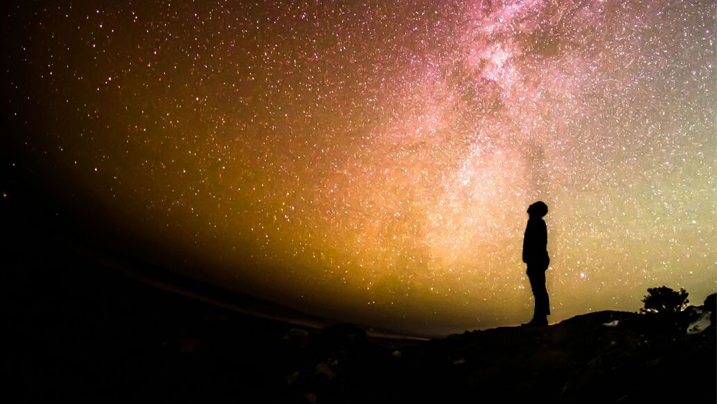 Got to article: Markus Jotzo