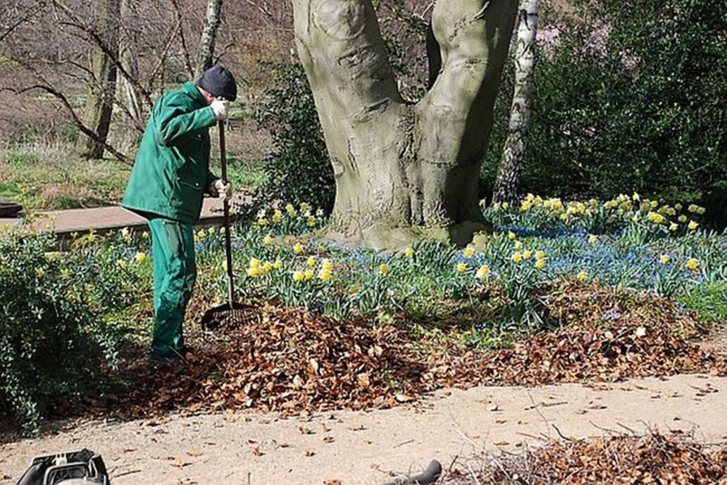 Urteil stärkt WEG: Faktische Verwalter haften für Fehlentscheidungen