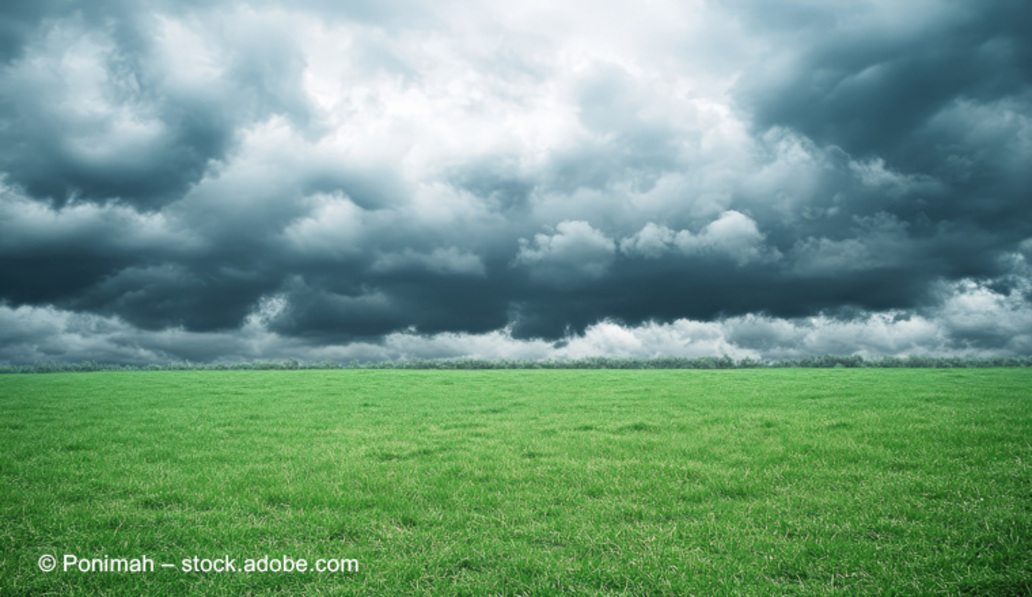 Immobilienfinanzierung unter Druck: Stimmung bleibt 2026 gedämpft trotz stabiler Marktbedingungen