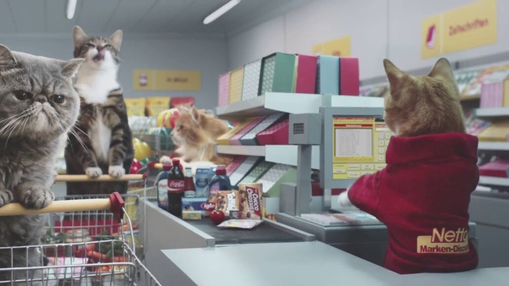 Apple, Ikea, Netto & Co.: Weltkatzentag: Die 12 kultigsten Werbespots mit Miezekatzen