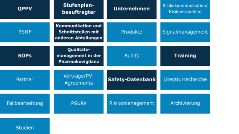 Pharmakovigilanz-Inspektionen