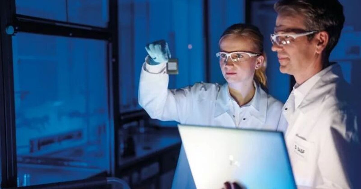 Miese Stimmung Im Chemiesektor – Das Geheimnis, Warum Basf Und Lanxess Aktien Jetzt Boomen! - z3epcbq