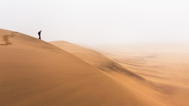 Dune dans la brume © bportolano /Fotolia.com