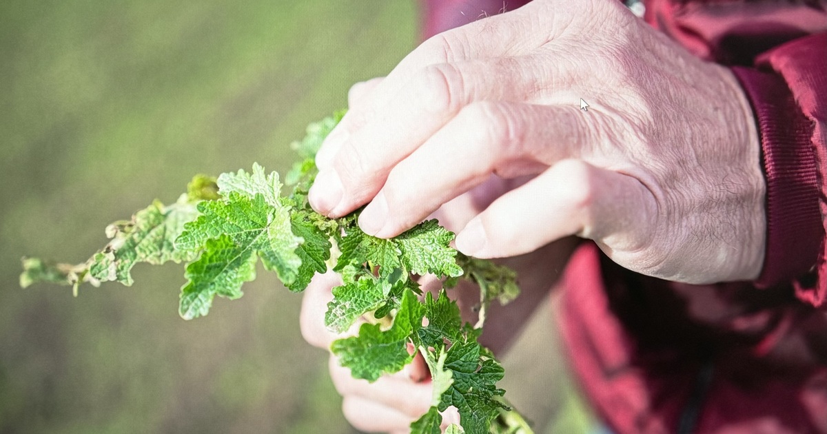 „Die Landwirtschaft ist inzwischen mit viel Theorie organisiert und