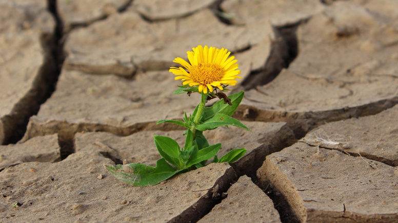 Dürre Zeiten Auswirkungen Und Folgen Des Klimawandels Auf Landflächen